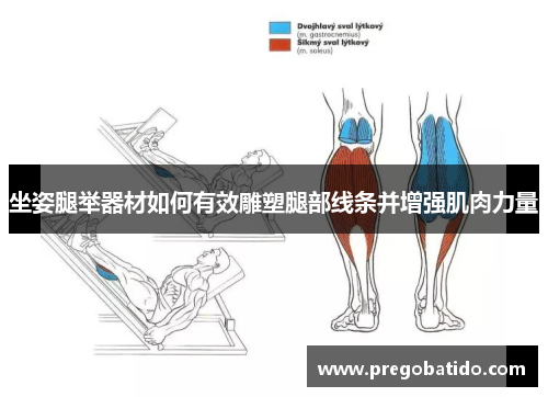 坐姿腿举器材如何有效雕塑腿部线条并增强肌肉力量